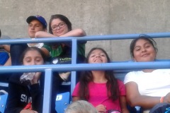 blue-jays-1