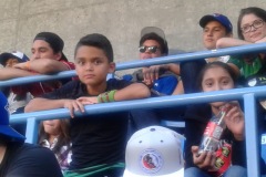 blue-jays-2