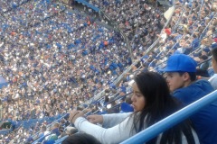 blue-jays-7
