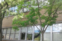 campus-pequeno-de-la-escuela