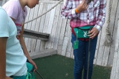 minigolf-16