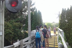 minigolf-19