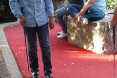 minigolf-9