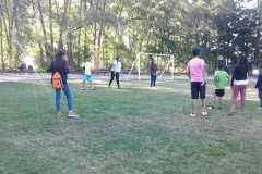 volley2