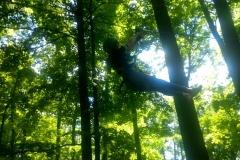 IMG_20180718_150459780_HDR