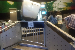 IMG_20180717_195703471_LL